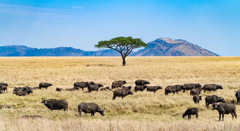 4 of the most beautiful places to travel to in Africa