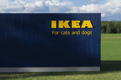 Ikea wypuszcza kolekcję dla psów i kotów. Zobacz zdjęcia