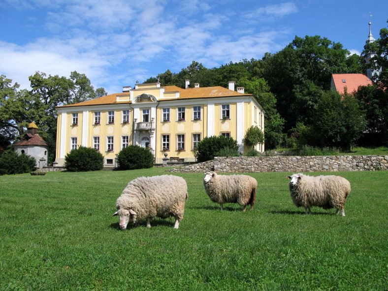 Pałac Lenno k. Wlenia