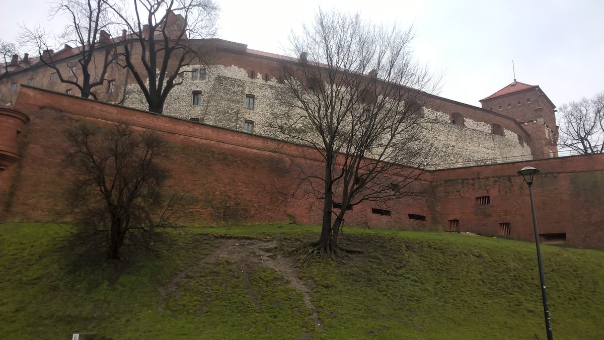 Zbocza Wzgórza Wawelskiego wymagają pilnego remontu. Wyrwy i ubytki w ziemi, krzywe i wąskie chodniki, rosnące dziko krzaki i drzewa oraz popękany mur oporowy - tak obecnie wygląda zbocze najchętniej odwiedzanego przez turystów wzgórza w Krakowie. Po latach urzędniczych zaniedbań jest szansa na ich remont. Gotowa jest koncepcja rewitalizacji, w budżecie miasta zarezerwowano pieniądze, a prace mają rozpocząć się w czerwcu.