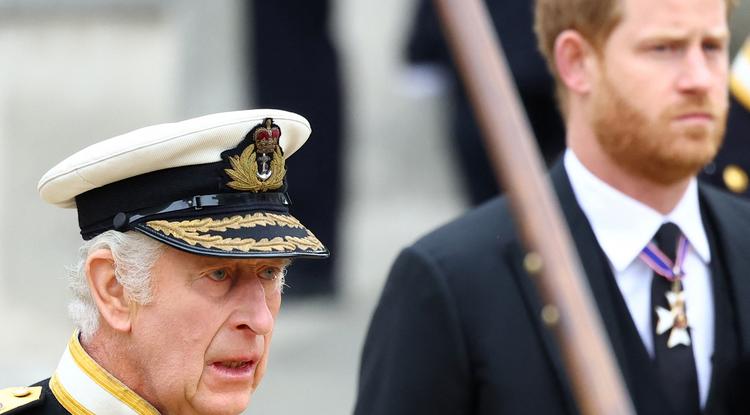 Harry herceg és Károly király között egyre feszültebb a viszony Fotó: Getty Images