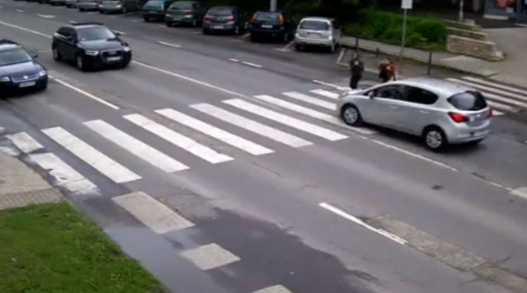 Csaknem elgázolta a zebrán a két lányt, Kecskeméten az autós / Fotó: police.hu