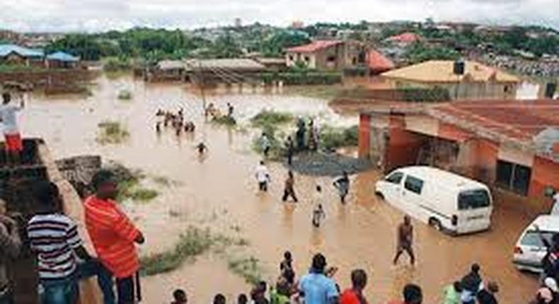 Flood destroys 50 houses, property in Zamfara