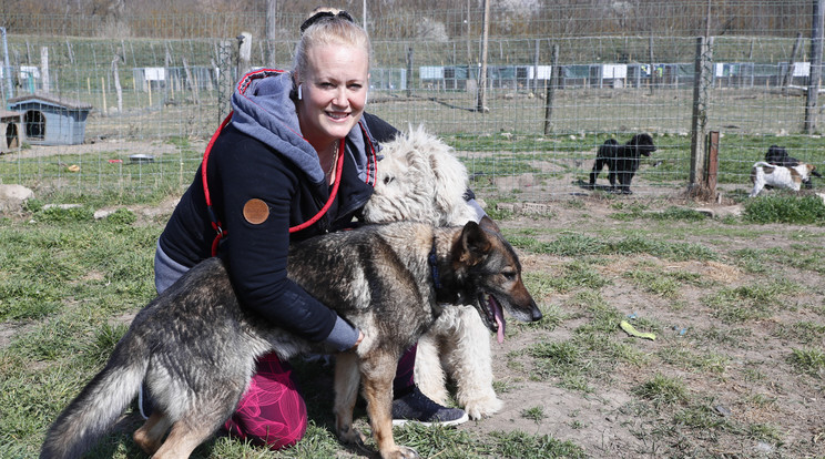 Krisztina minden segítségre szoruló állatot begyűjt, amelyiket nem sikerül örökbe adni, nála él/ Fotó: Fuszek Gábor