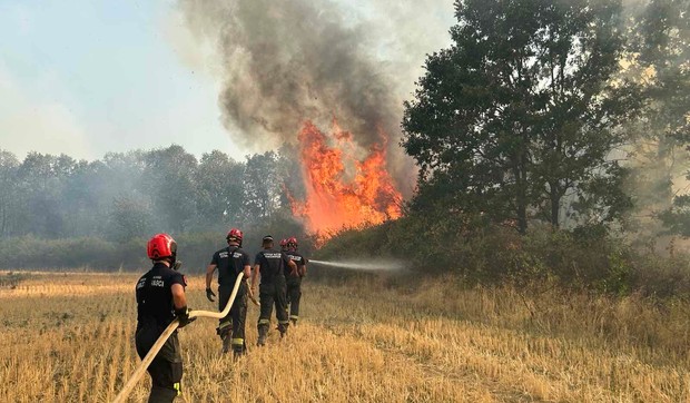 Požari u Srbiji