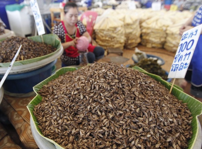 Rynek pełen robaków. Gratka dla smakoszy