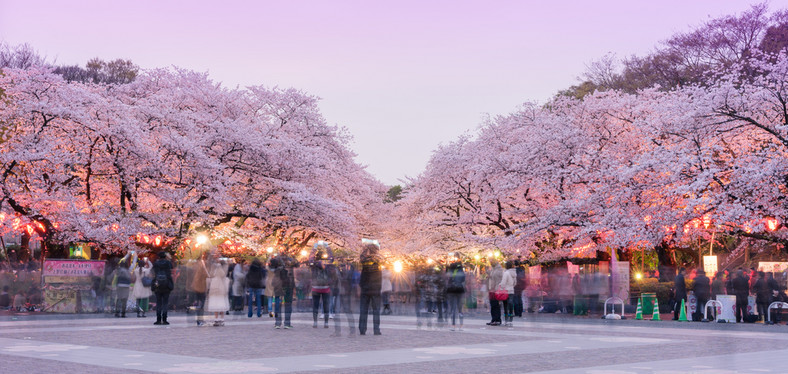 Park Ueno w Tokio (Japonia)