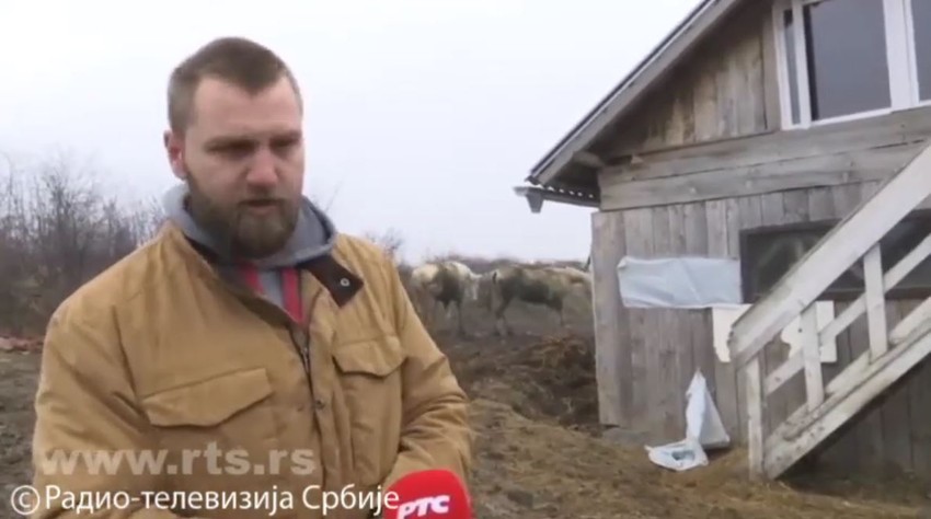 Miloš Gajić, spasavanje konja