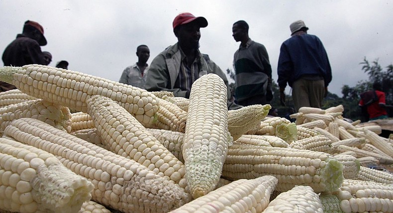 Kenyan corn market