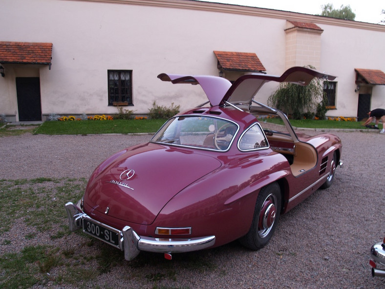 Gullwing z Polski autem roku