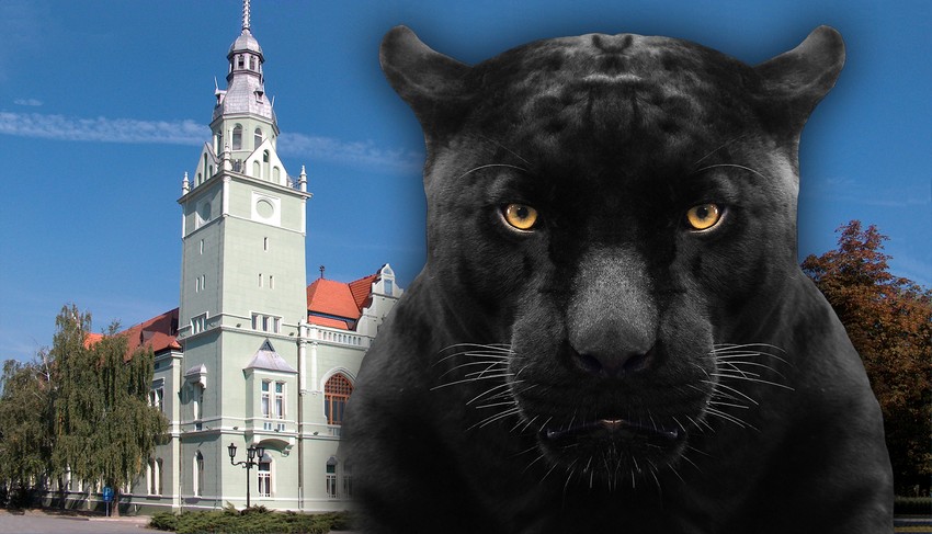 - Navikao sam da u Lici viđam medvede - poručuje Ličanin.