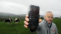 Zenével jobb tejet adnak a tehenek: így készít Baileyst egy ír férfi