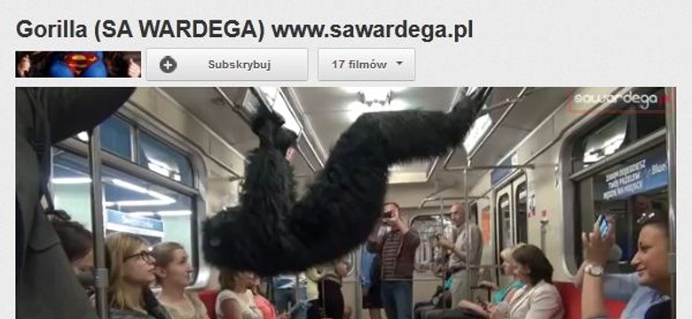 Szalony goryl terroryzuje ulice Warszawy