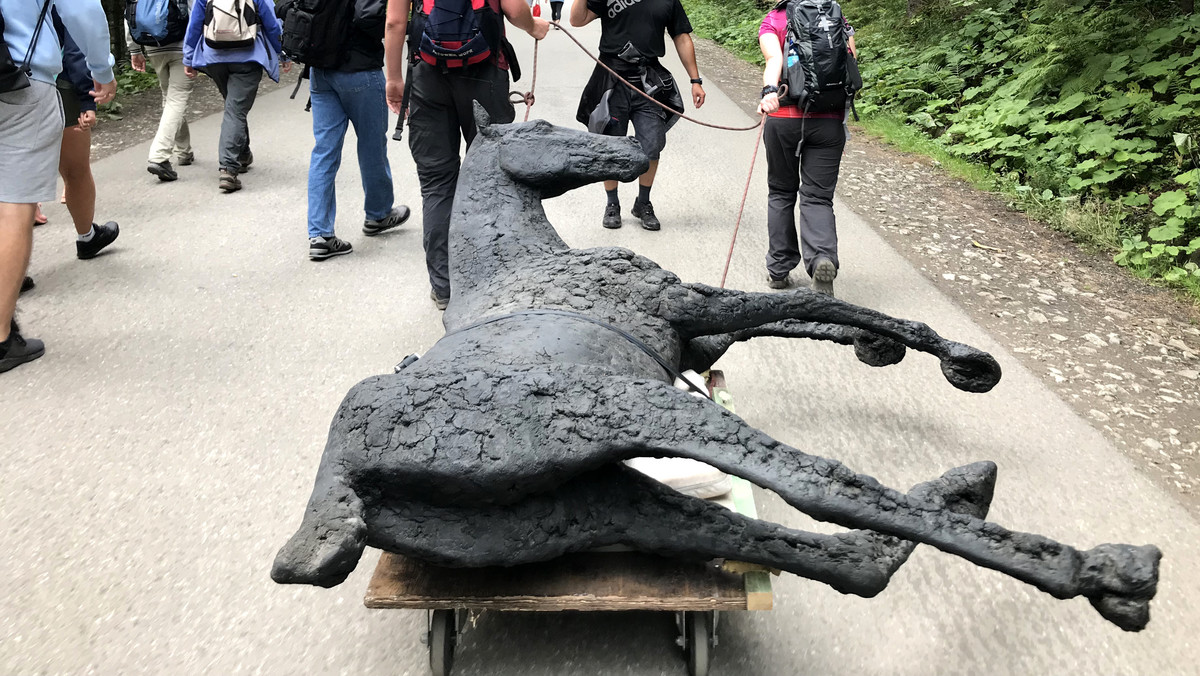 Morskie Oko: turyści wwieźli "konia" na Polanę Włosienica
