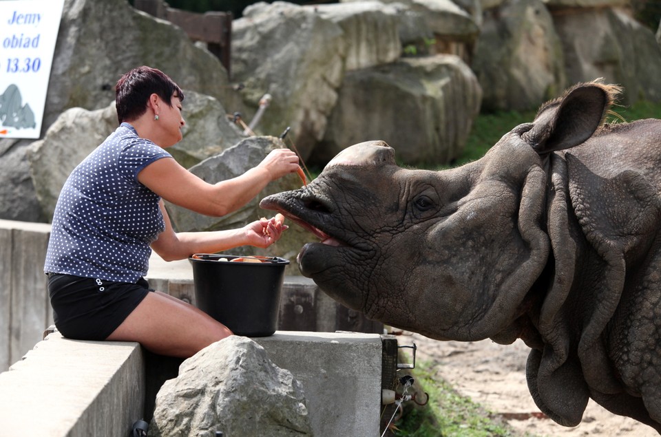 WARSZAWA ZOO POKAZY KARMIENIA