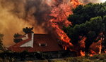 Szokująca teoria: pożary w Grecji to nie przypadek!