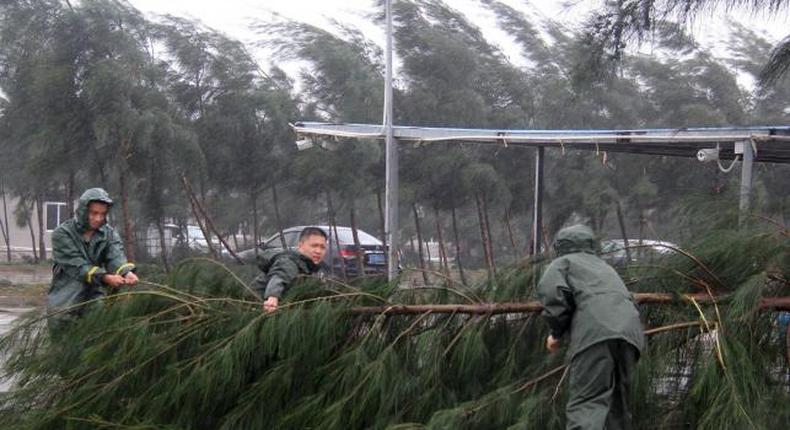 China typhoon kills six, knocks out power as tornado snaps trees