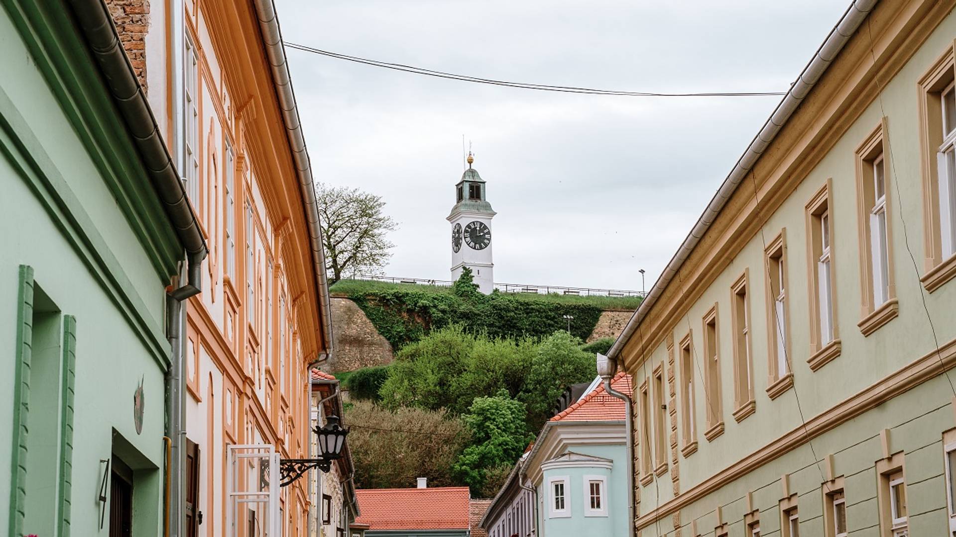 Da li je telo koje uživa tabu