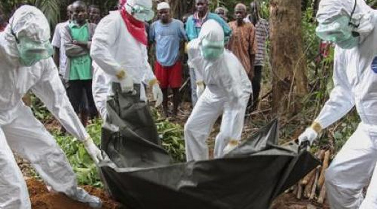 Horror: utcára dobálják az ebola áldozatait 