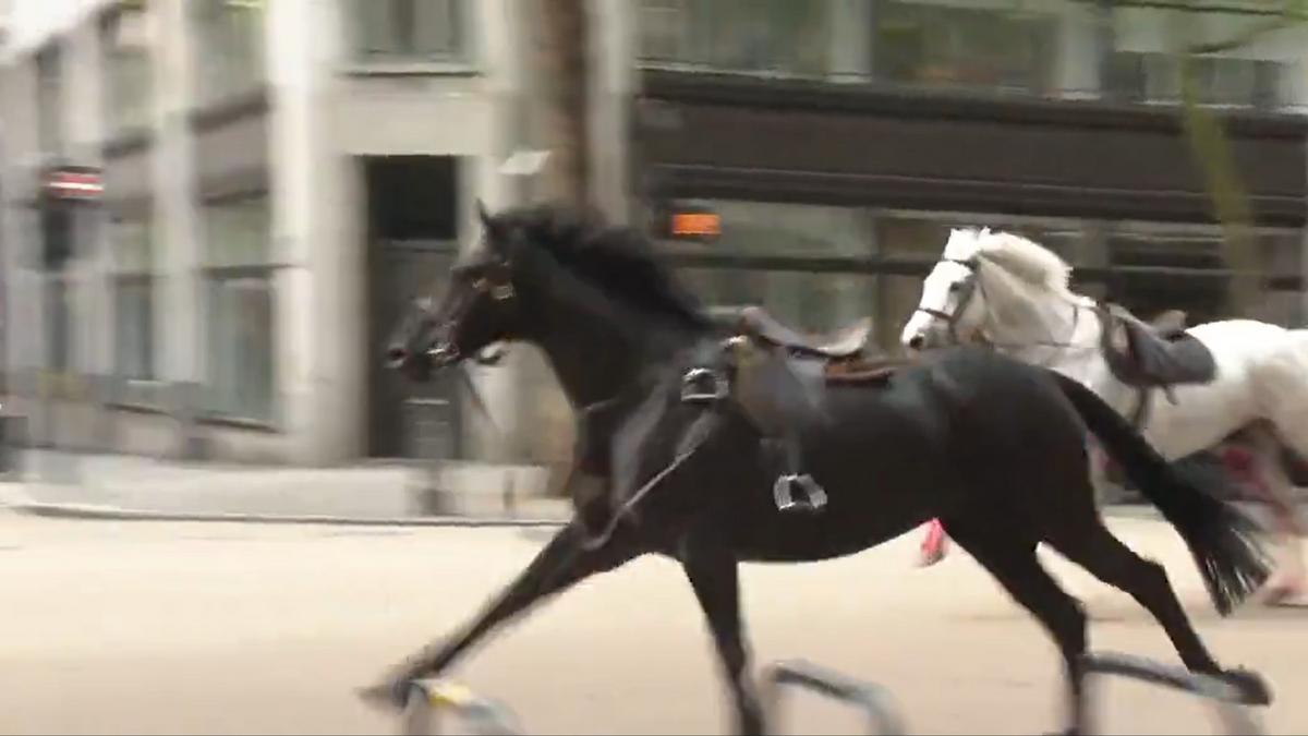 Elszabadult lovak tarolták le London belvárosát, többen megsérültek: videón a véres vágta