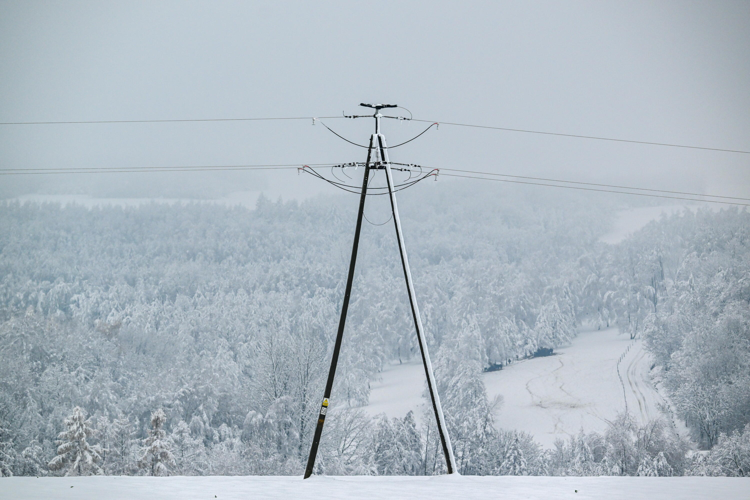 Śnieg zawalił budynki: Ewakuowano cztery krowy, 2 348 interwencji straży