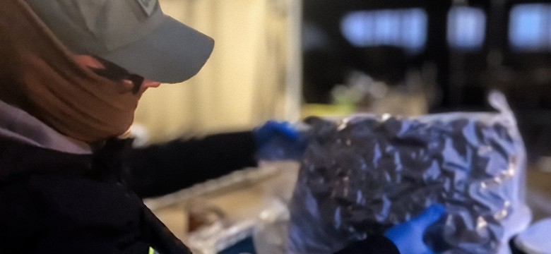 To miał być koncentrat pomidorowy. Policja zajrzała do beczek...