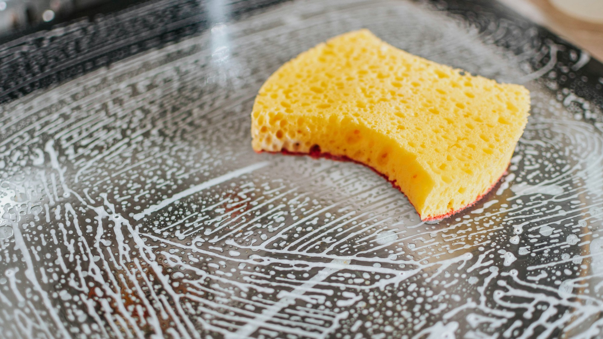 Zanedbaná výmena špongie na riad predstavuje skutočnú hrozbu pre zdravie celej rodiny.