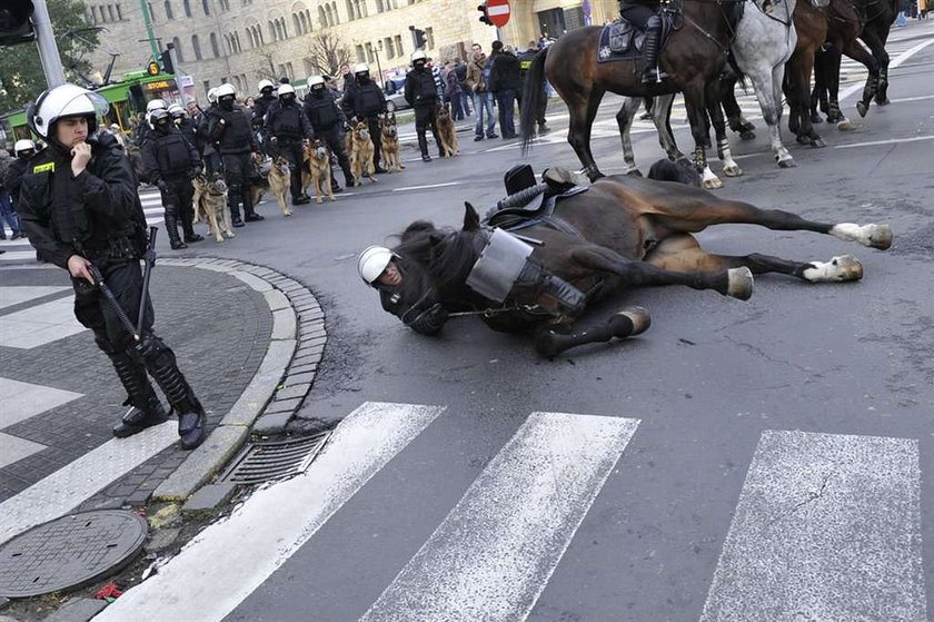 Koń poniósł policjanta