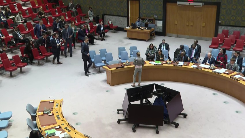 Savet bezbednosti UN