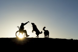 Michałkiewicz: Intensywnie pracujemy nad rozwiązaniami dla osób niepełnosprawnych