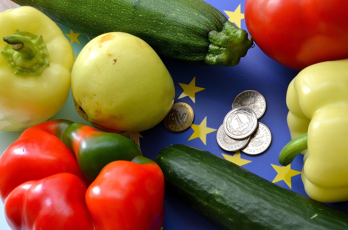 KE wprowadza nowe zasady kontroli żywności i roślin. Rewolucja na granicach wkrótce