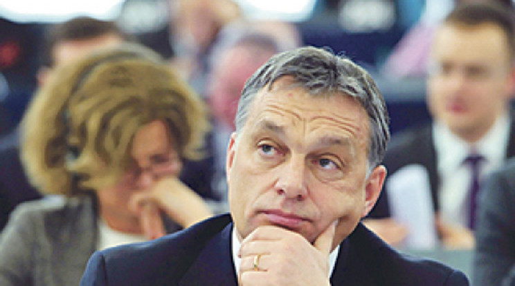 Kereszttűzben Orbán