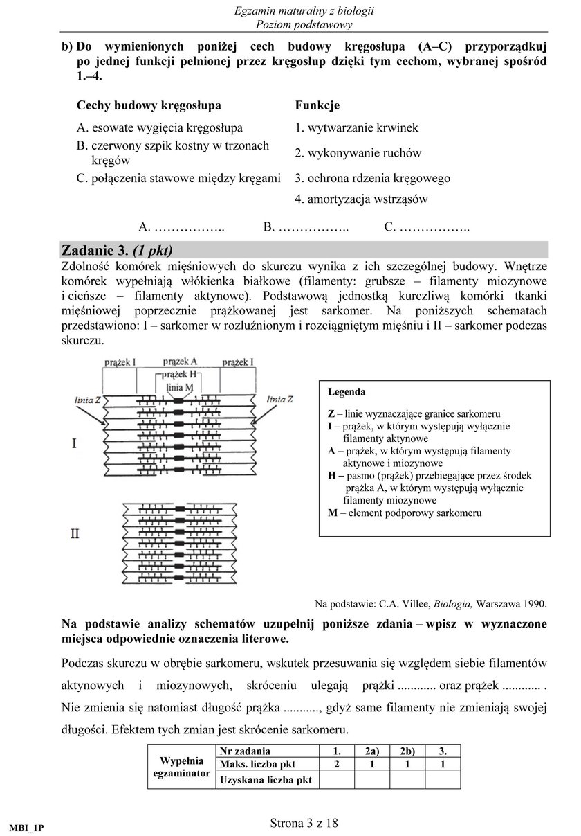 Matura 2017 biologia. Arkusze maturalne CKE