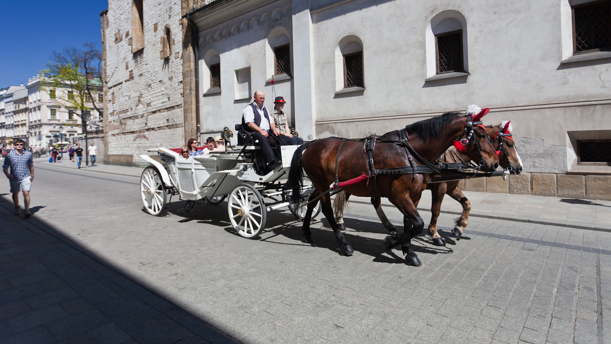 Temperatury przekraczają 30 stopni w cieniu. Na słońcu skwar jest jeszcze większy. Mimo to na krakowskim rynku można zobaczyć konie przypięte do dorożek, bezradne wobec upału. - Wszystko jest zgodnie z przepisami - twierdzą urzędnicy.