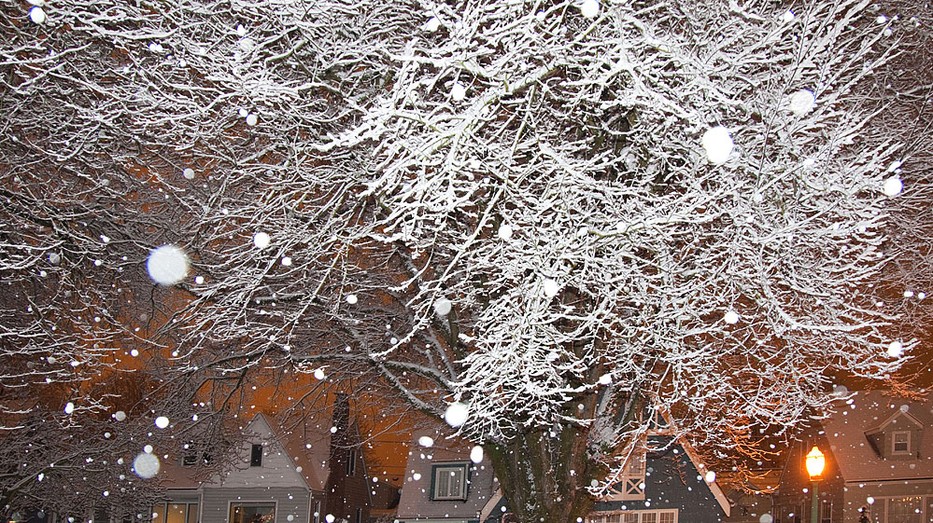 Tél Fotó: Northfoto