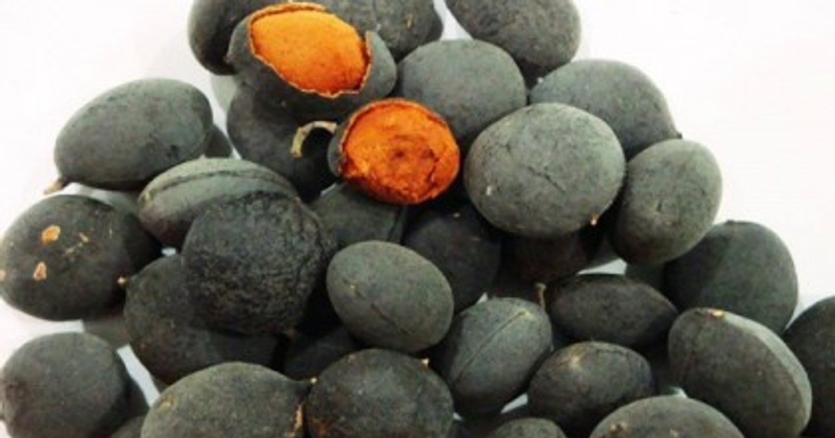 5 diseases you never knew African Velvet Tamarind (Awin) could treat