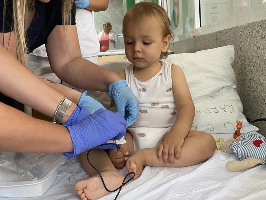 Lav u Beogradu tokom terapije