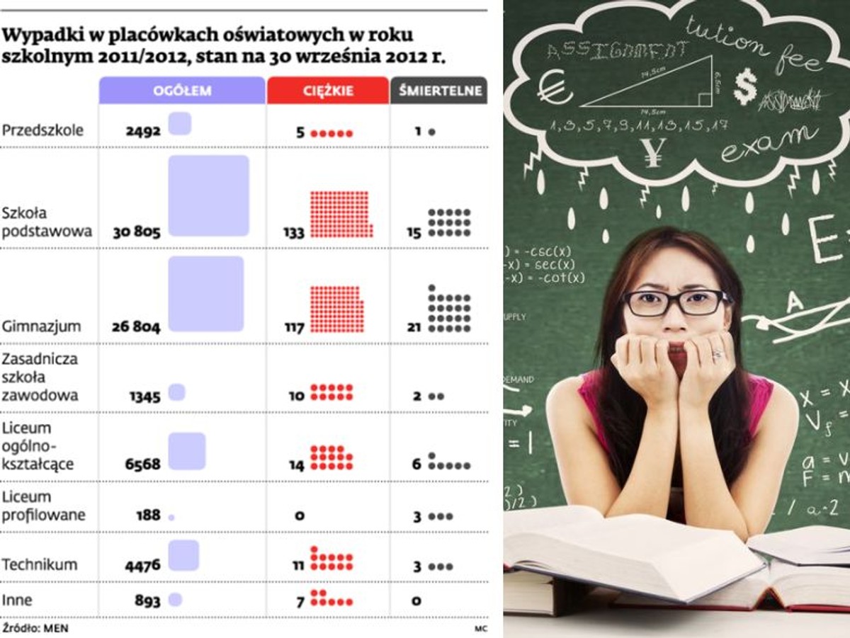 Wypadki w placówkach oświatowych w roku szkolnym 2011/2012, stan na 30 września 2012 r.