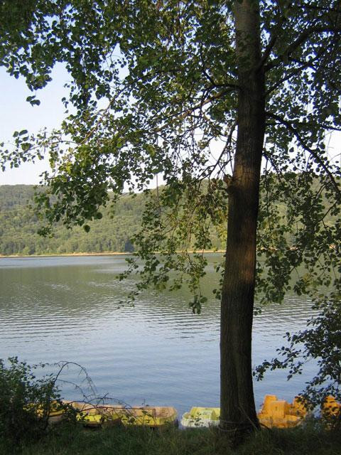 Galeria Polska - Bieszczady, obrazek 9