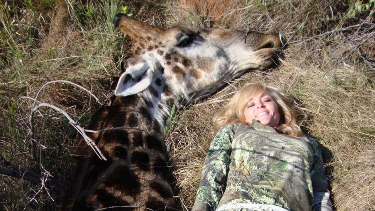 Rebecca Francis jest felietonistką, blogerką i wielką fanką łowiectwa. W 2010 roku zdobyła pierwsze miejsce w programie telewizyjnym „Extreme Huntress”. Trzy dni temu, jej znajomy Ricky Gervais zamieścił na Twitterze zdjęcie swojej przyjaciółki z zabitą żyrafą. Post natychmiast został rozesłany dalej. Ma już kilkadziesiąt tysięcy odsłon. A na eteryczną blondynkę, która leży uśmiechnięta obok martwego zwierzęci posypały się gromy.