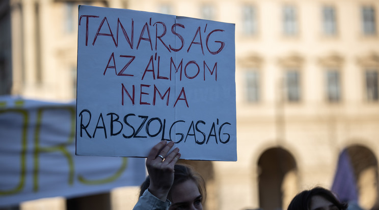 Két hete a "Diákok a tanárokért" budapesti tüntetésén álltak ki sokan a tanárok jogos követelései mellett /Fotó:Zsolnai Péter