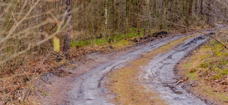 Czy Droga św. Jakuba oferuje to, czego szukają pielgrzymi?