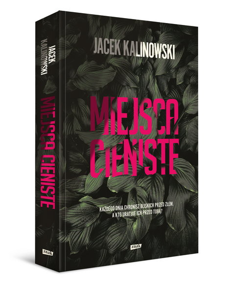 Jacek Kalinowski, "Miejsca cieniste"