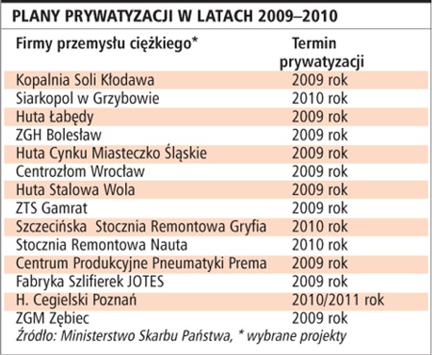 Plany prywatyzacji w latach 2009-2010