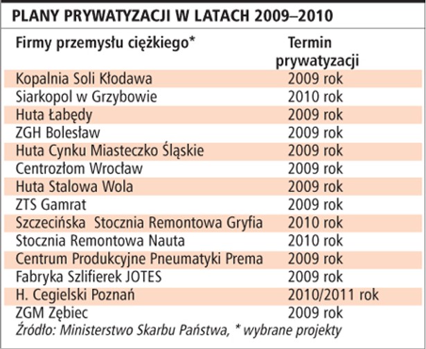 Plany prywatyzacji w latach 2009-2010