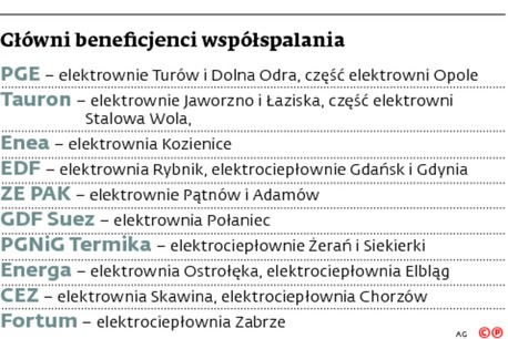 Główni beneficjenci współspalania