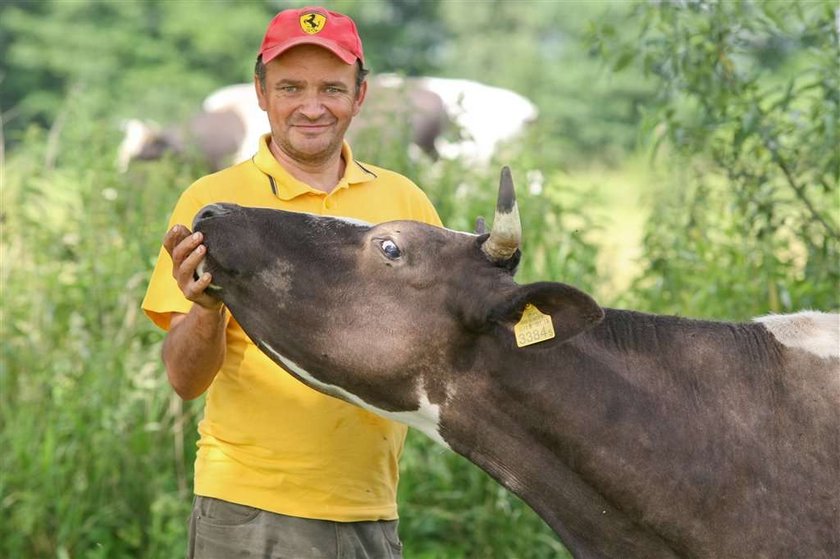 Ta krowa płakała ze strachu