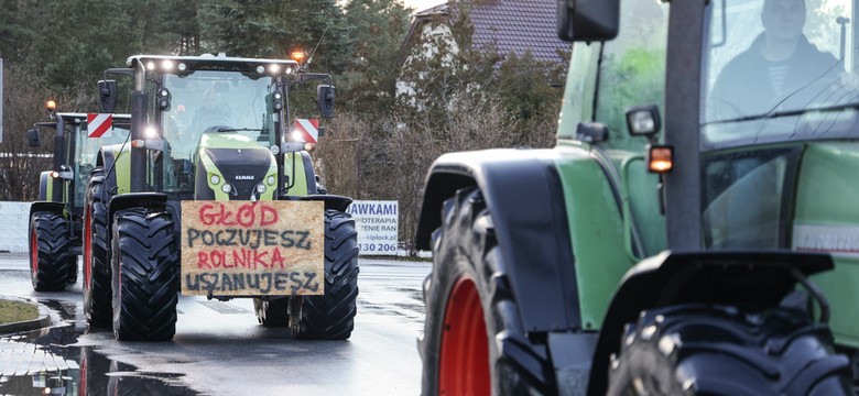 Sieć zalewają nieprawdziwe informacje o ukraińskim zbożu. "Badamy każde zgłoszenie"