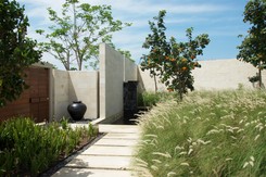 3 trendy ogrodnicze w sezonie 2026. Czym wyróżnia się modny ogród?