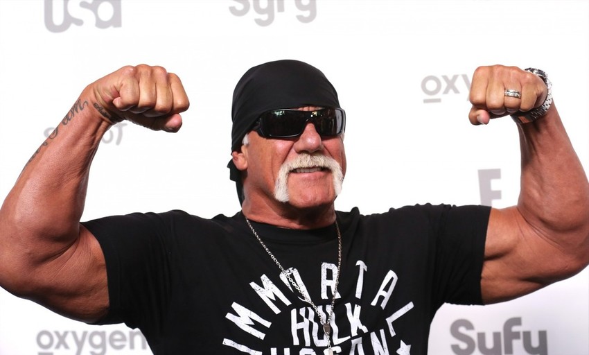 Hulk Hogan 